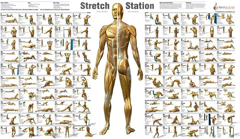 Static Stretching
